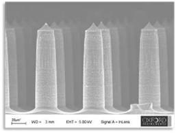 Microneedles with Bosch process