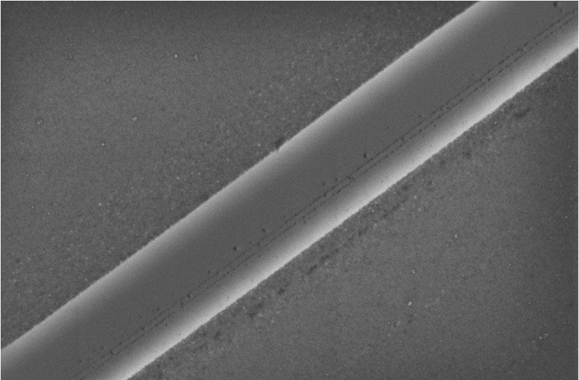 CVD growth of MoS2