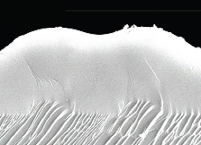 High rate SiO2 PECVD