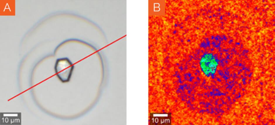 結晶性窒化ガリウム(GaN)のフランク・リード(FR)光源。(A) GaN の FR 光源の Brightfield 画像。(B) xy 平面における E2(high) ピーク位置のラマン画像。