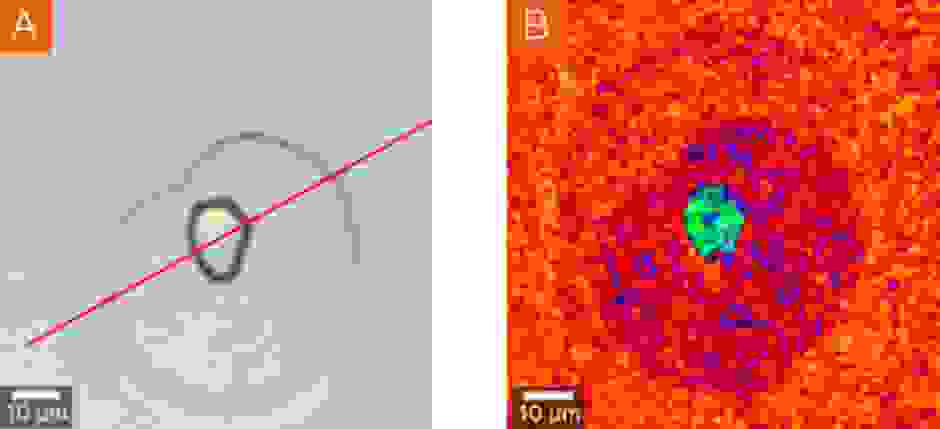 結晶性窒化ガリウム（GaN）のフランク・リード（FR）光源。（A） GaN の FR 光源の Brightfield 画像。（B） xy 平面における E2（high） ピーク位置のラマン画像。
