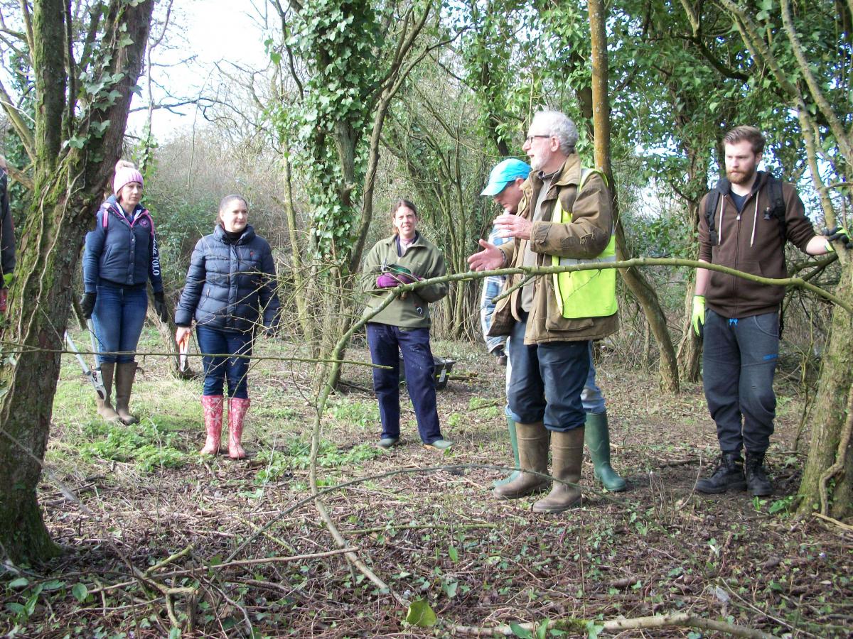 Planting wildflower seeds with Oxford Instruments staff