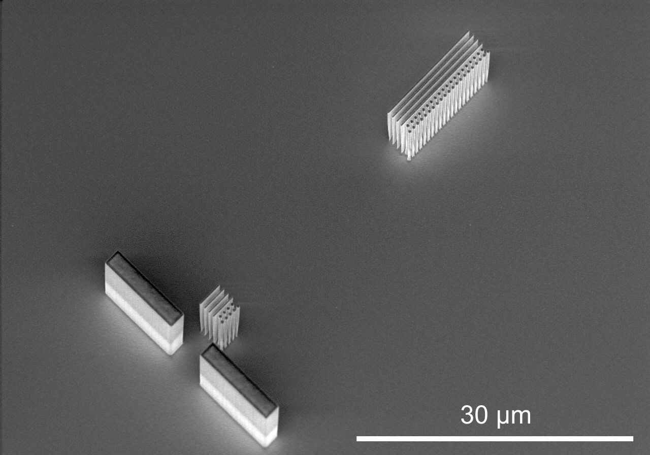 Laser-driven electron accelerator on a chip SEM image